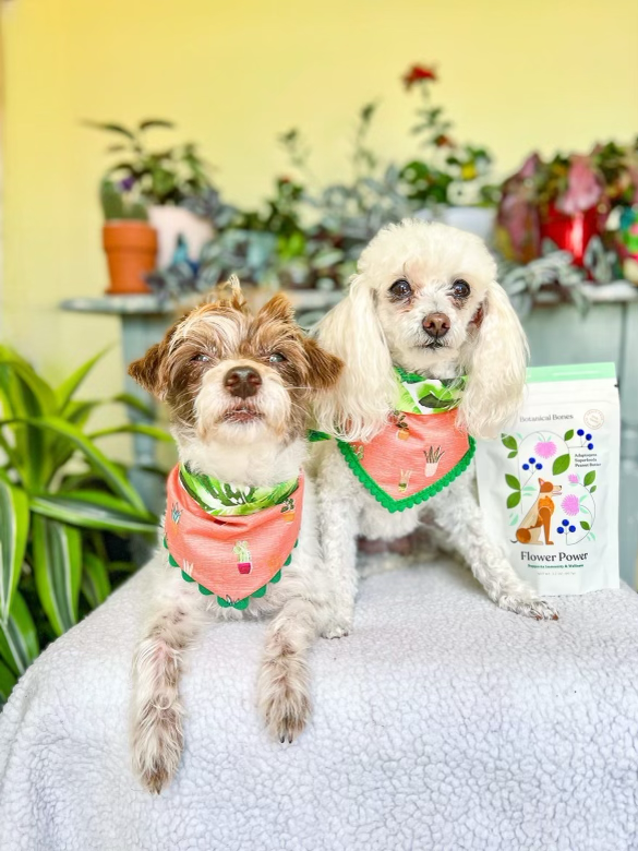 Botanical Bones | Flower Power Cookies - All Natural, Organic Dog Treats