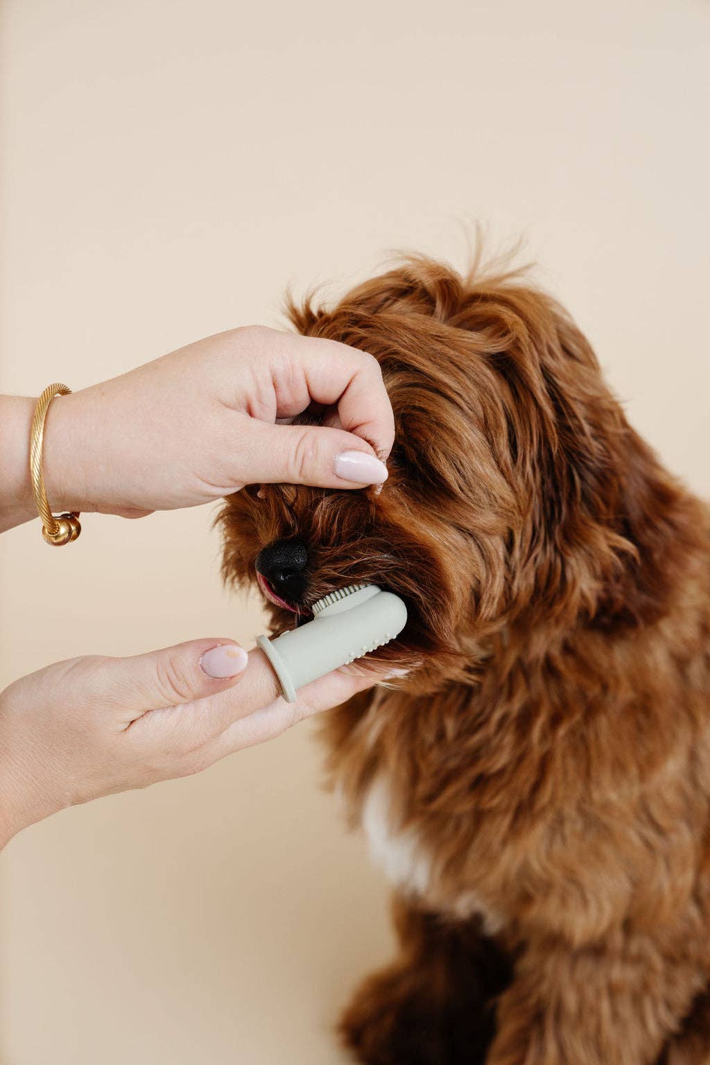 Pupwell Puppy Breath Toothbrush