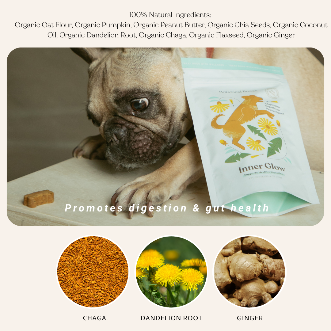 Botanical Bones | Inner Glow Cookies - All Natural, Organic Dog Treats