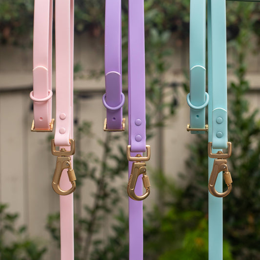 Ollie XO Pink Blush Waterproof Collar with Gold Hardware