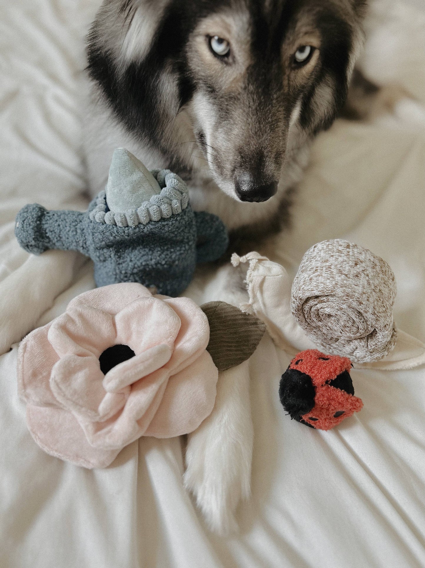 Lambwolf Large Poppy