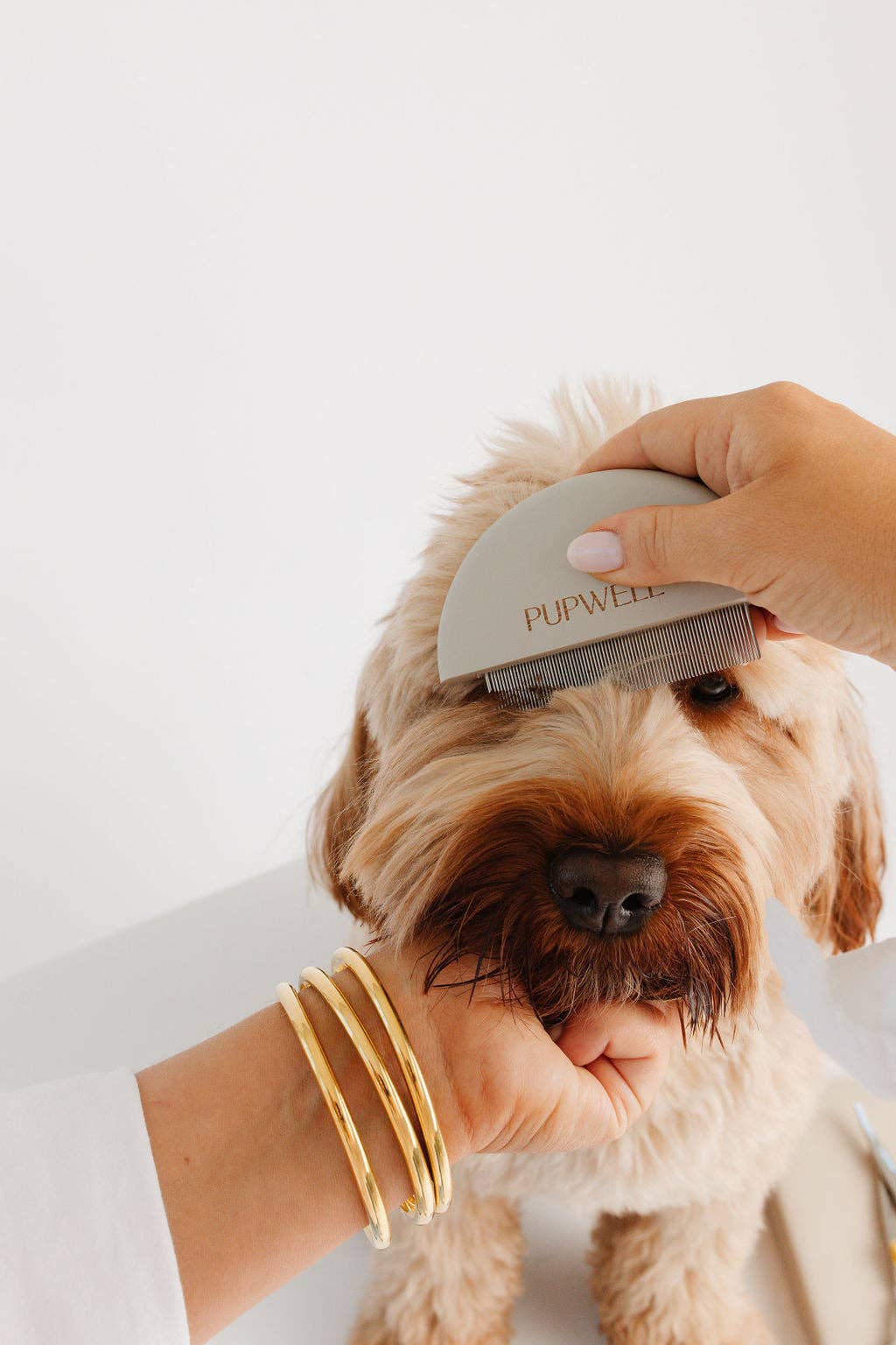 Pupwell Detailer Comb