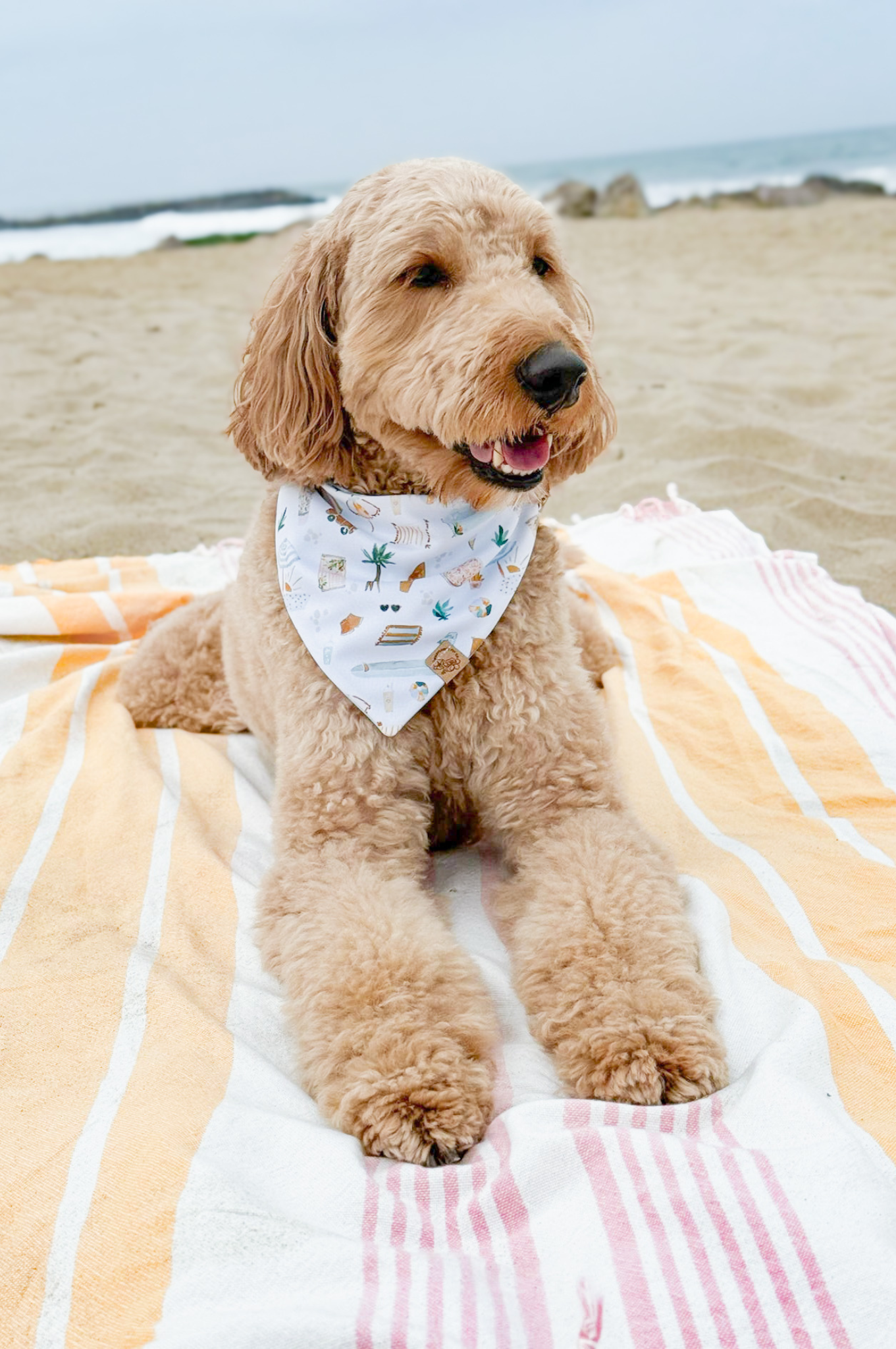 Summer Swim Sale