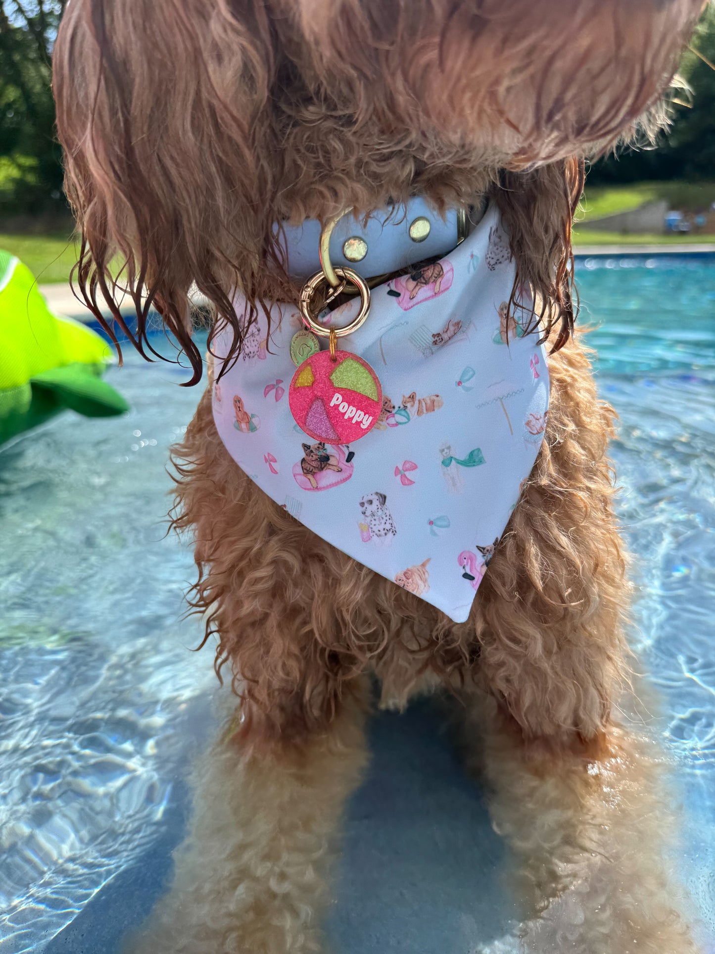 Poolside Pups