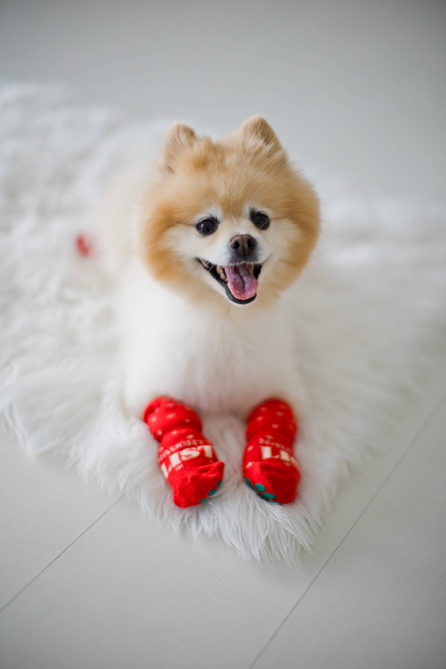 Nice & Naughty List Human & Dog Christmas Sock Set