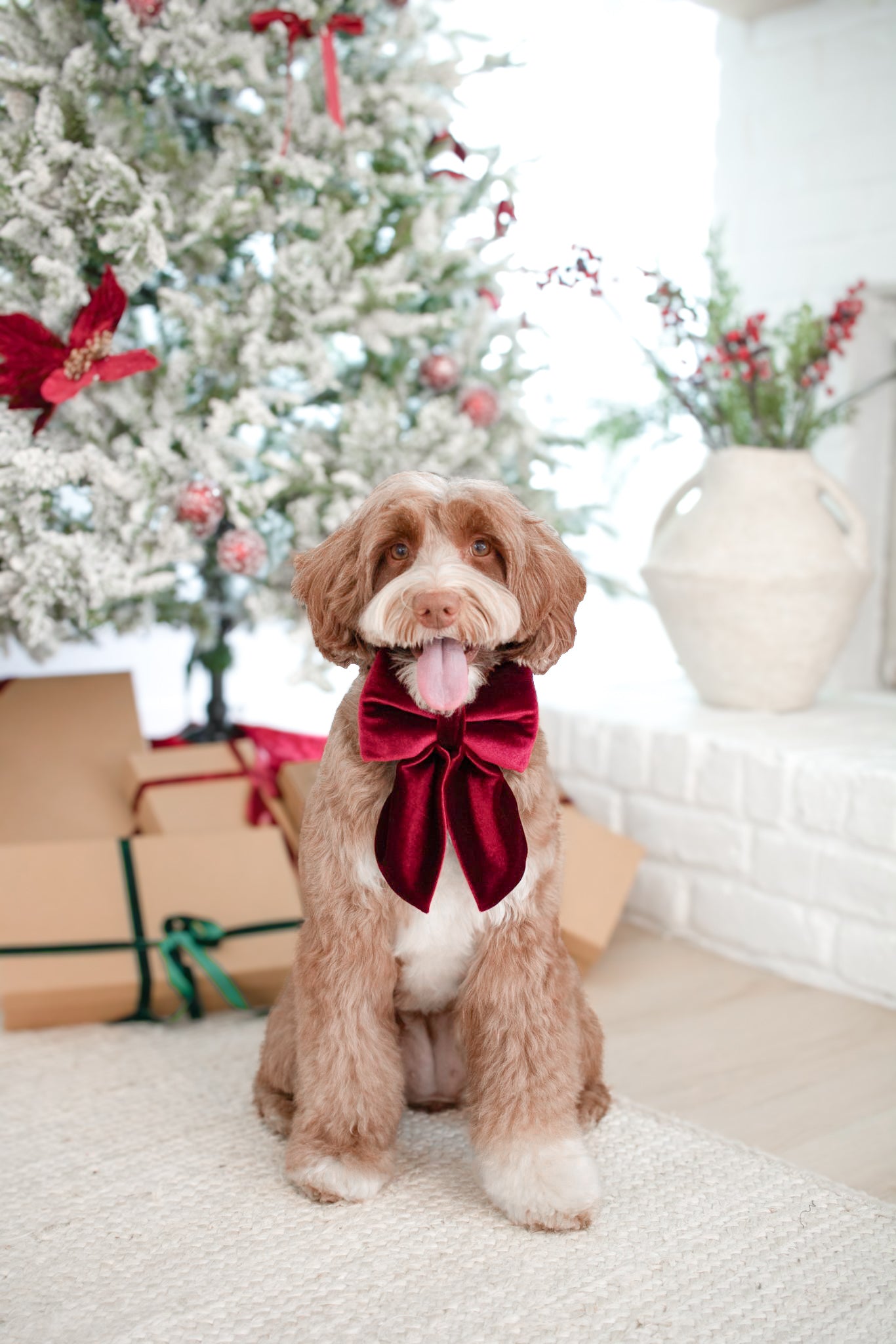 Winterberry Sailor Bow/Bow Tie