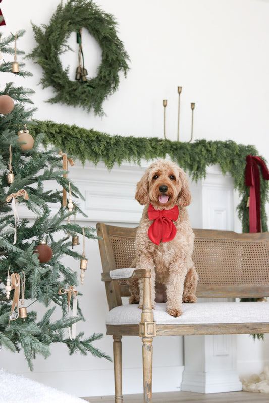 Rudolph Sailor Bow & Bow Tie