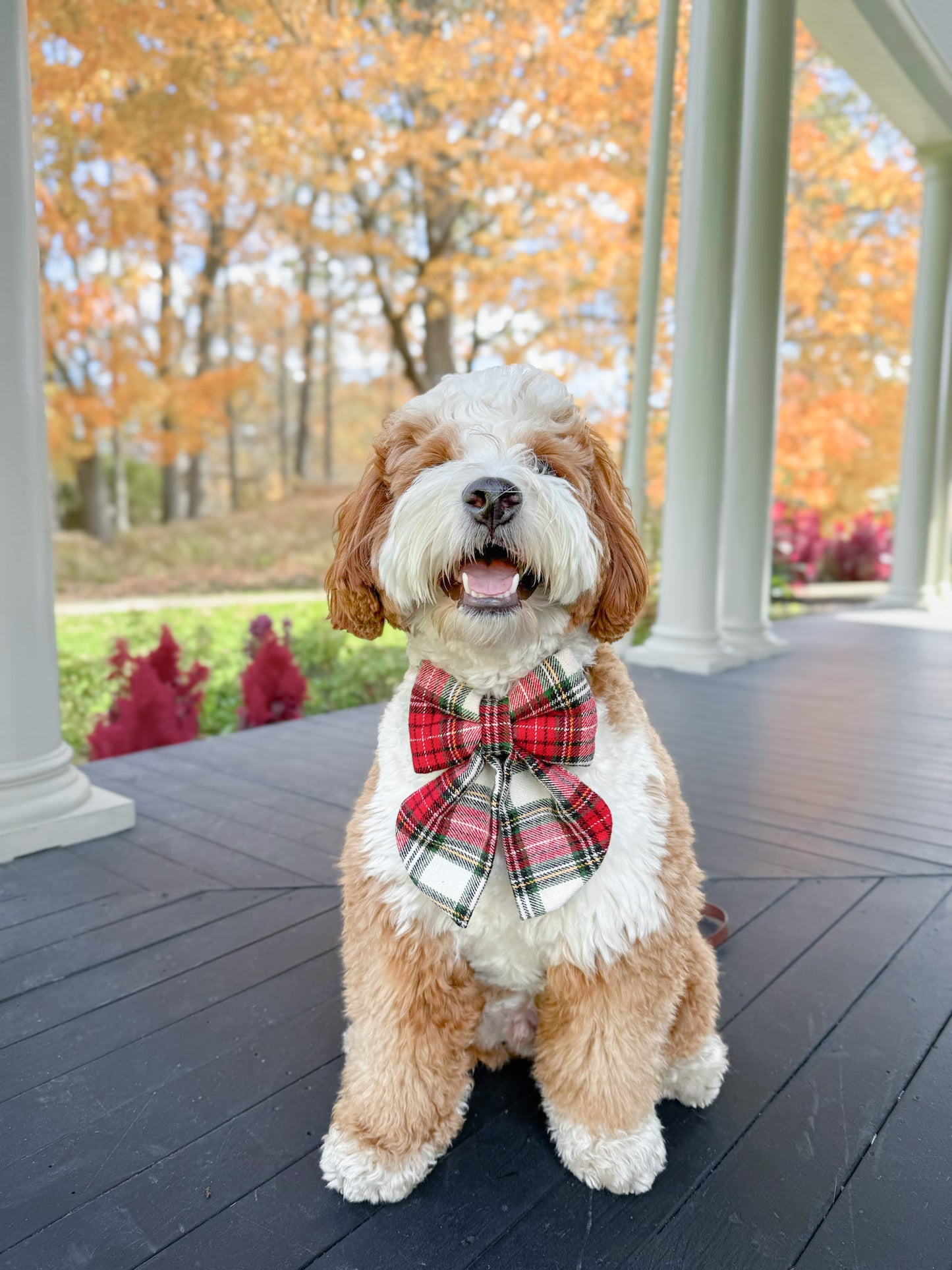 Home for the Holidays Sailor Bow/Bow Tie