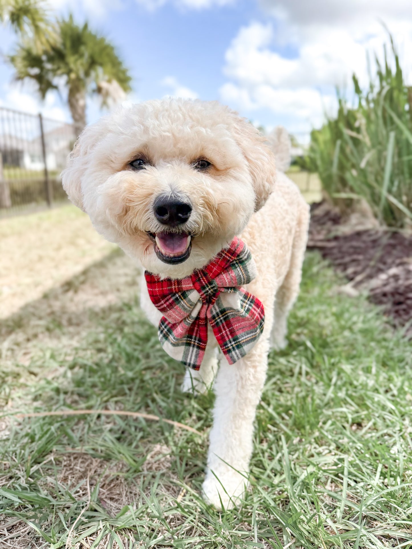 Home for the Holidays Sailor Bow/Bow Tie