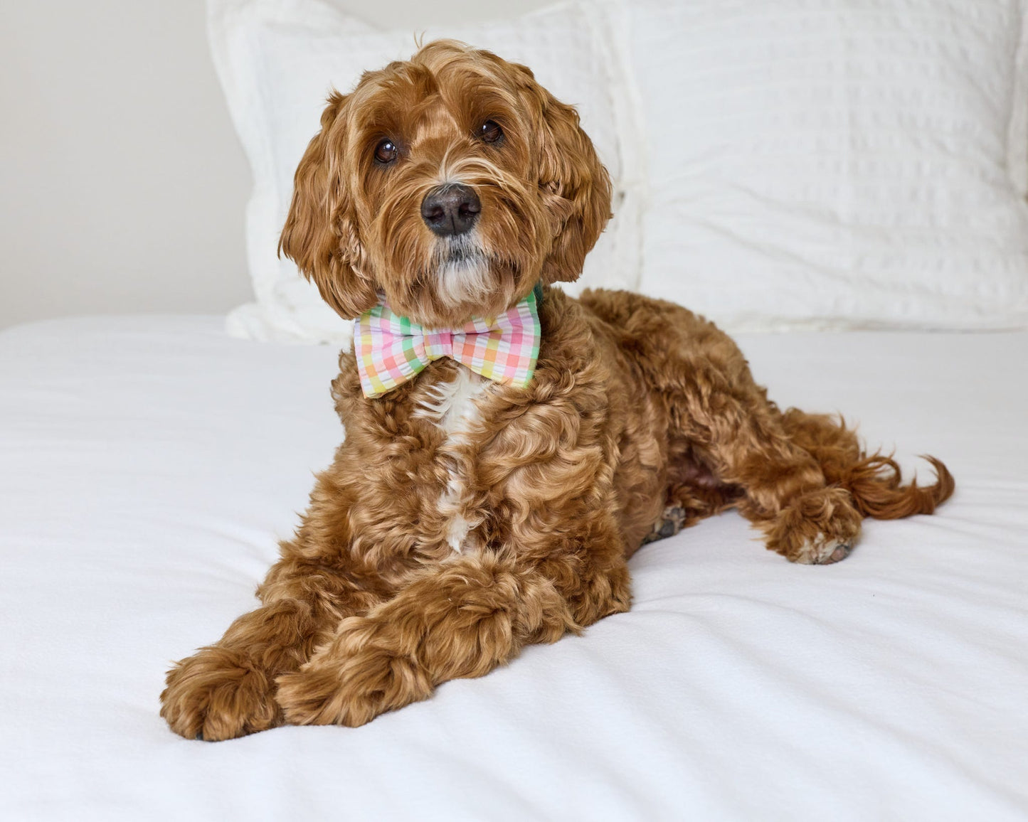 Spring Seersucker Sailor Bow & Bow Tie