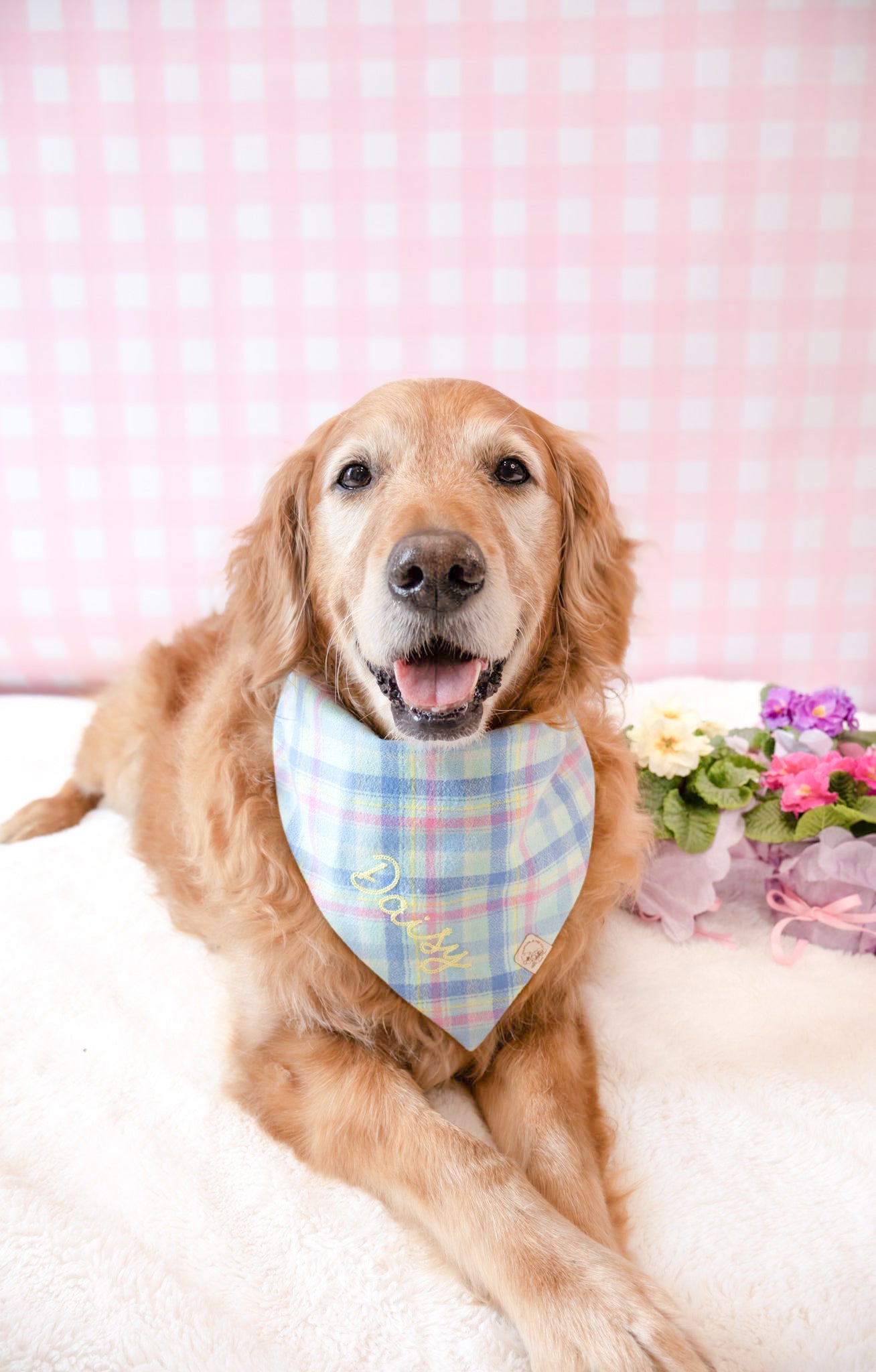 Spring Pastel Flannel