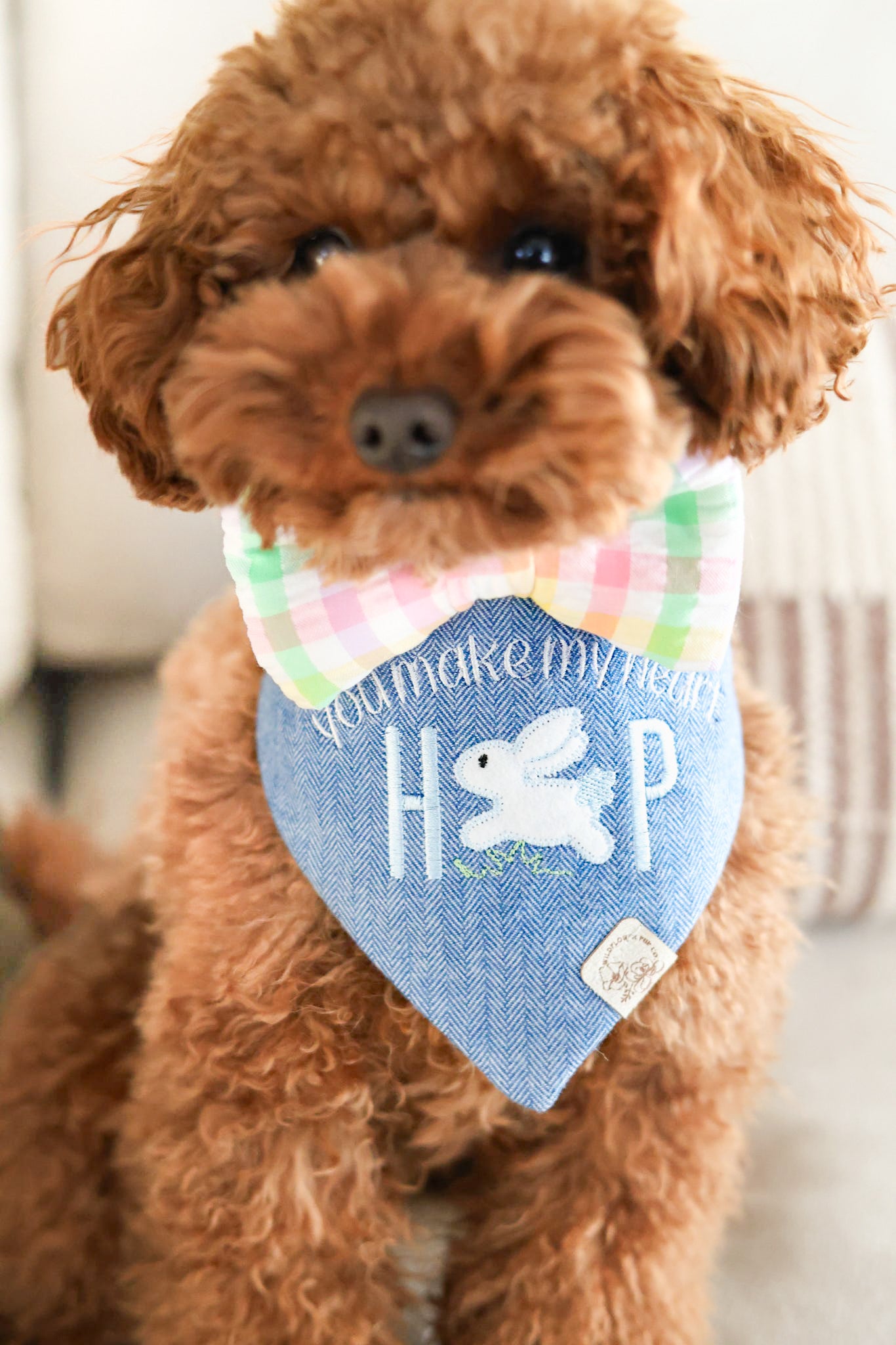 Spring Seersucker Sailor Bow & Bow Tie