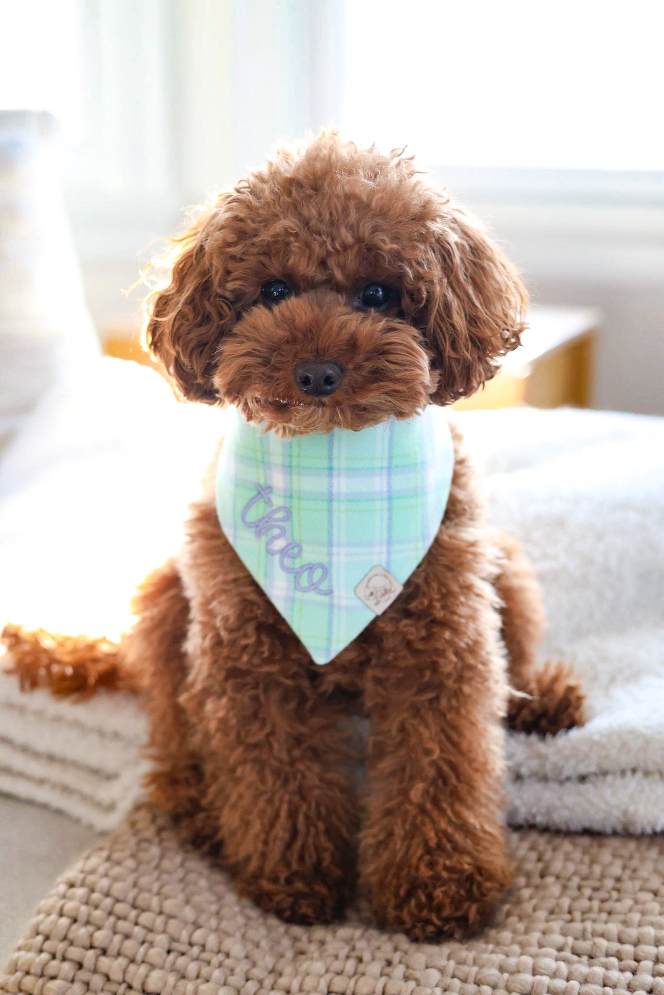 Spring Green Flannel