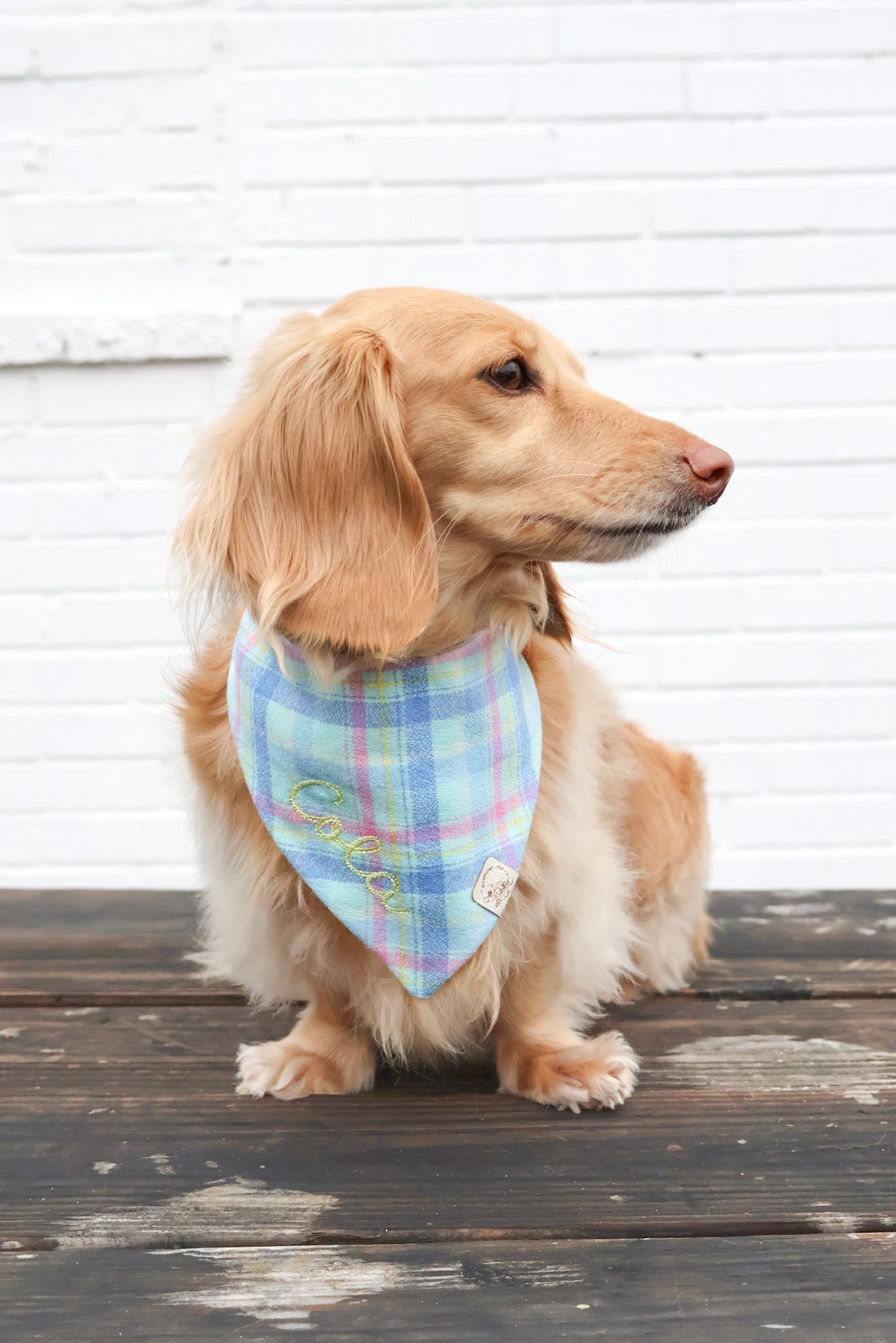 Spring Pastel Flannel