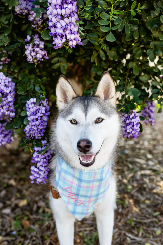 Spring Pastel Flannel