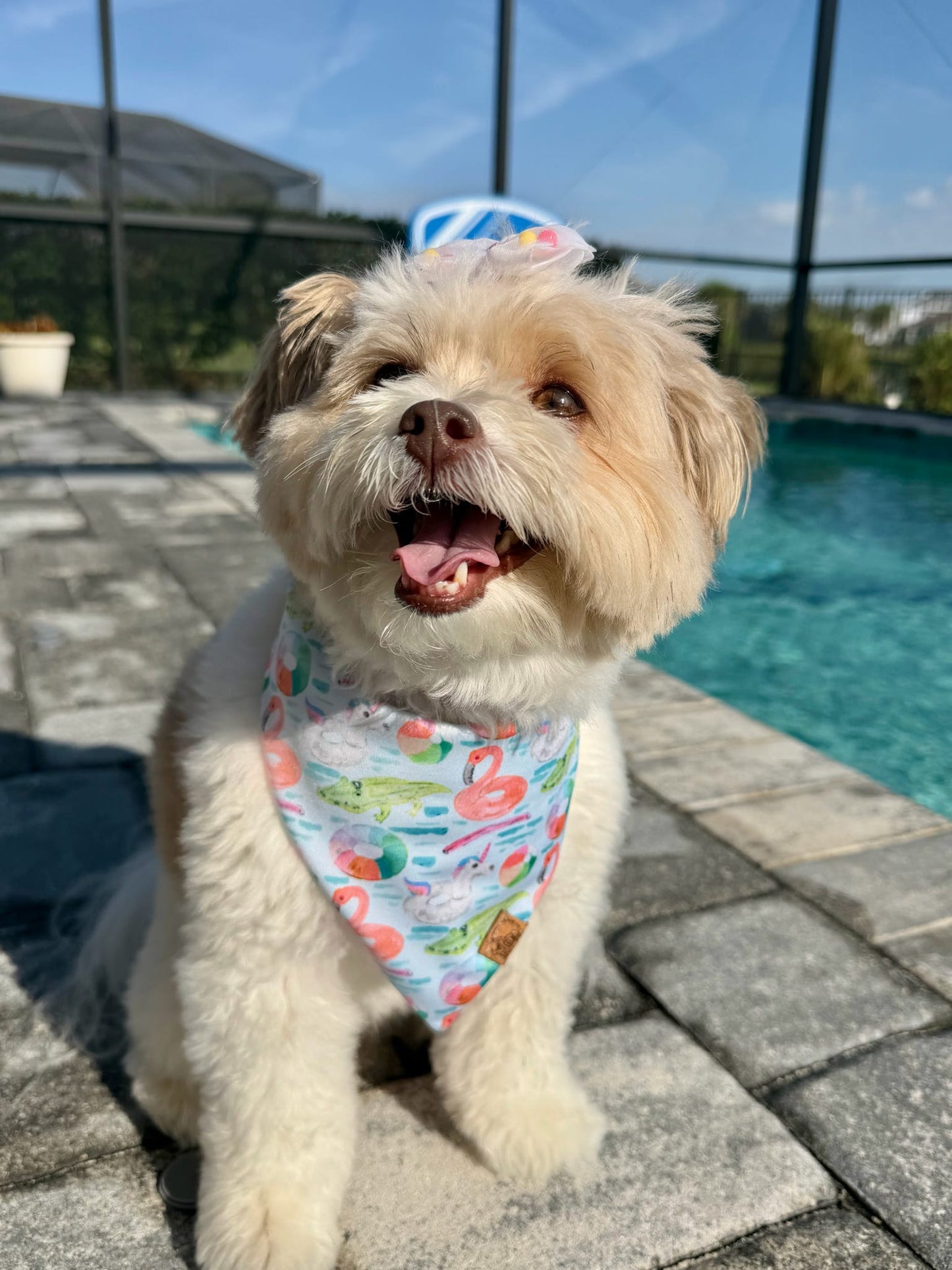 Pool Party