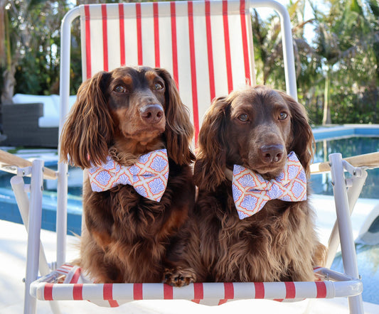 Coral Reef Azul Sailor Bow & Bow Tie