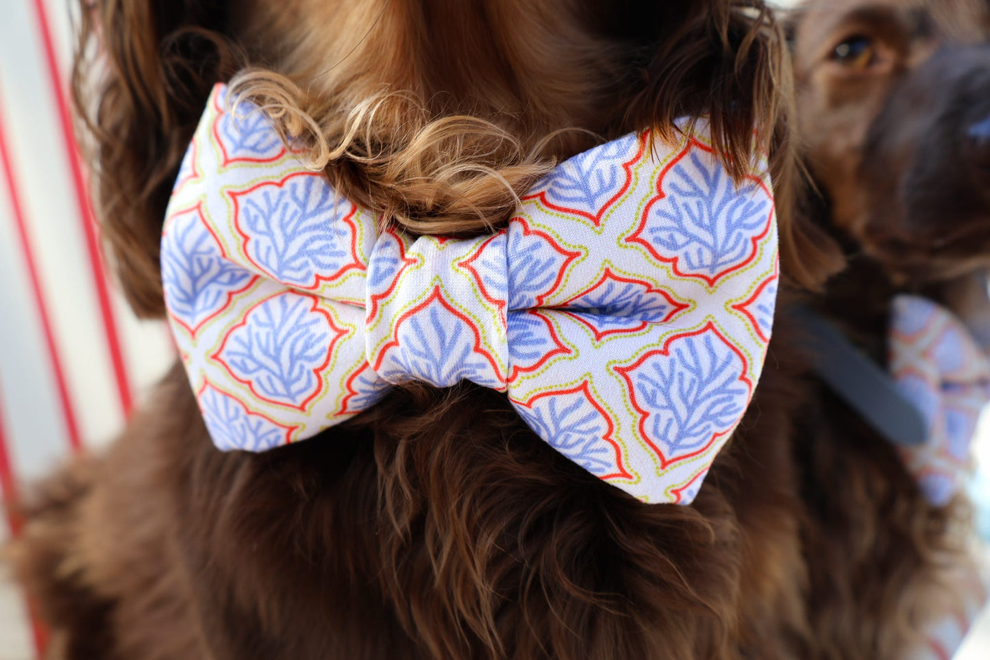 Coral Reef Azul Sailor Bow & Bow Tie