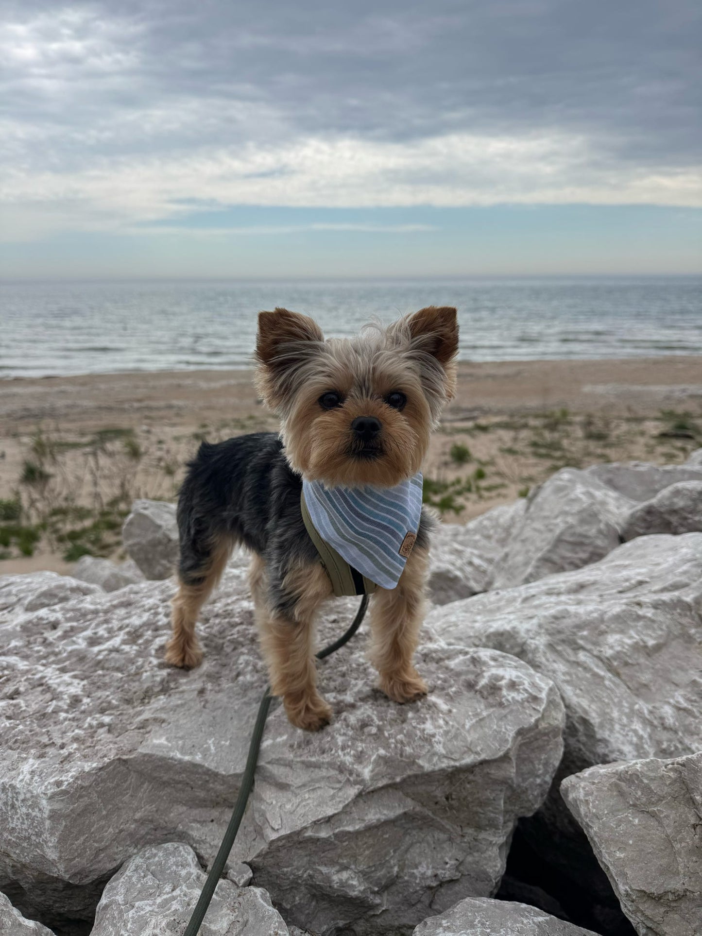 Sea Glass
