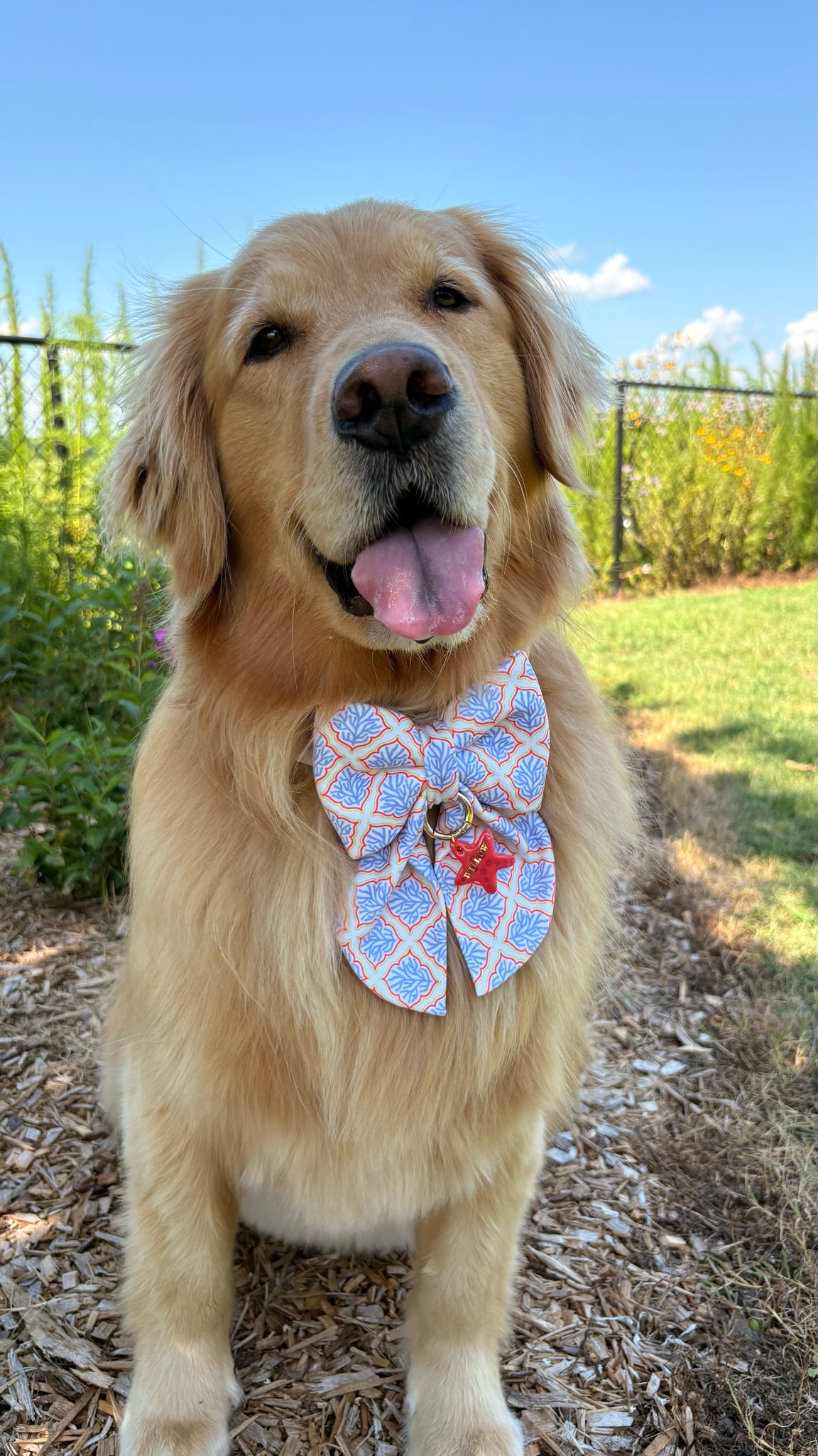 Coral Reef Azul Sailor Bow & Bow Tie