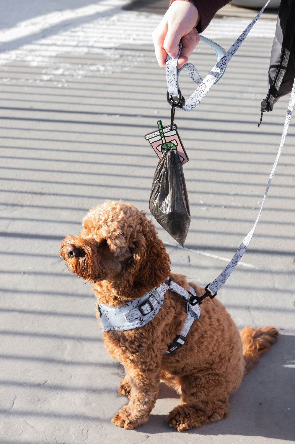 Gingerbread Used Dog Waste Bag Holder
