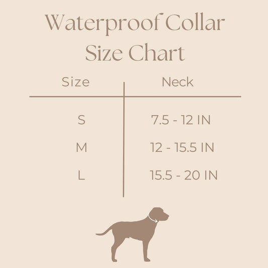 Ollie XO Lake Blue Waterproof Collar with Gold Hardware