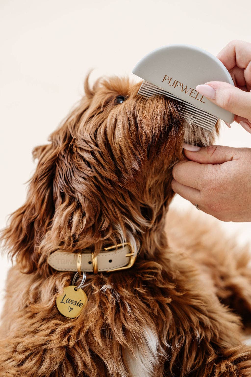 Pupwell Detailer Comb