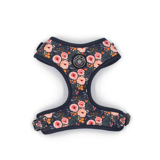 Ollie XO Full Bloom Adjustable Harness