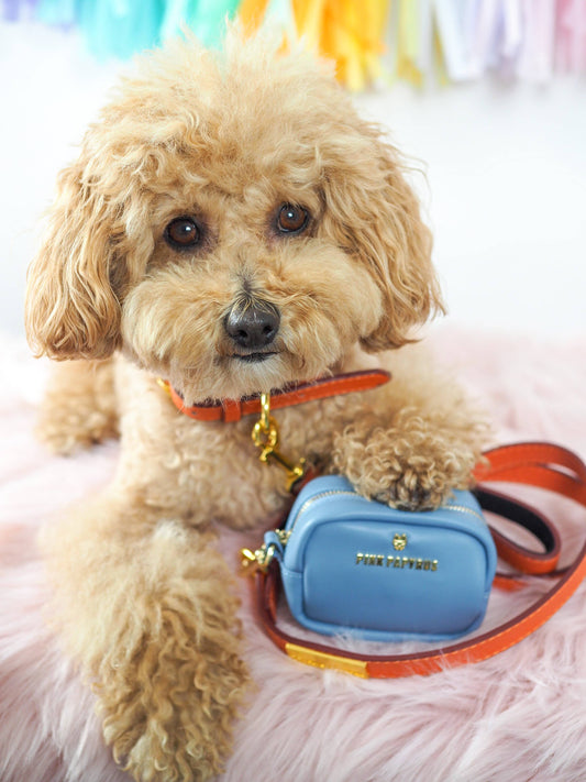 Pink Papyrus Blake Poop Bag Dispenser | Waste Bag Dispenser