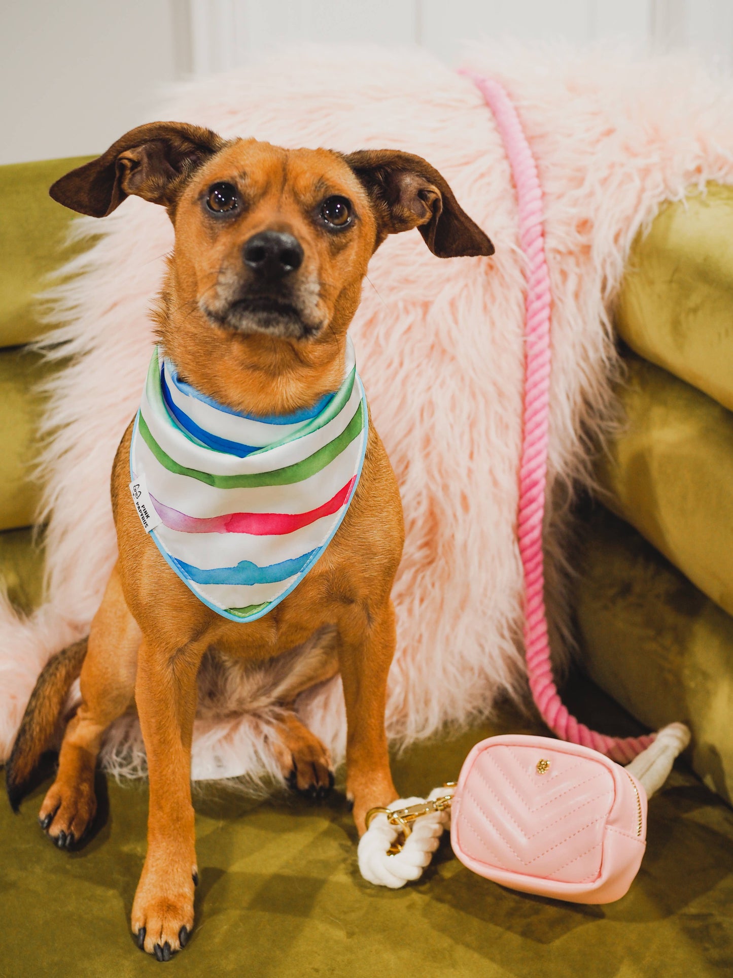 Pink Papyrus Kylie Poop Bag Dispenser | Waste Bag Dispenser