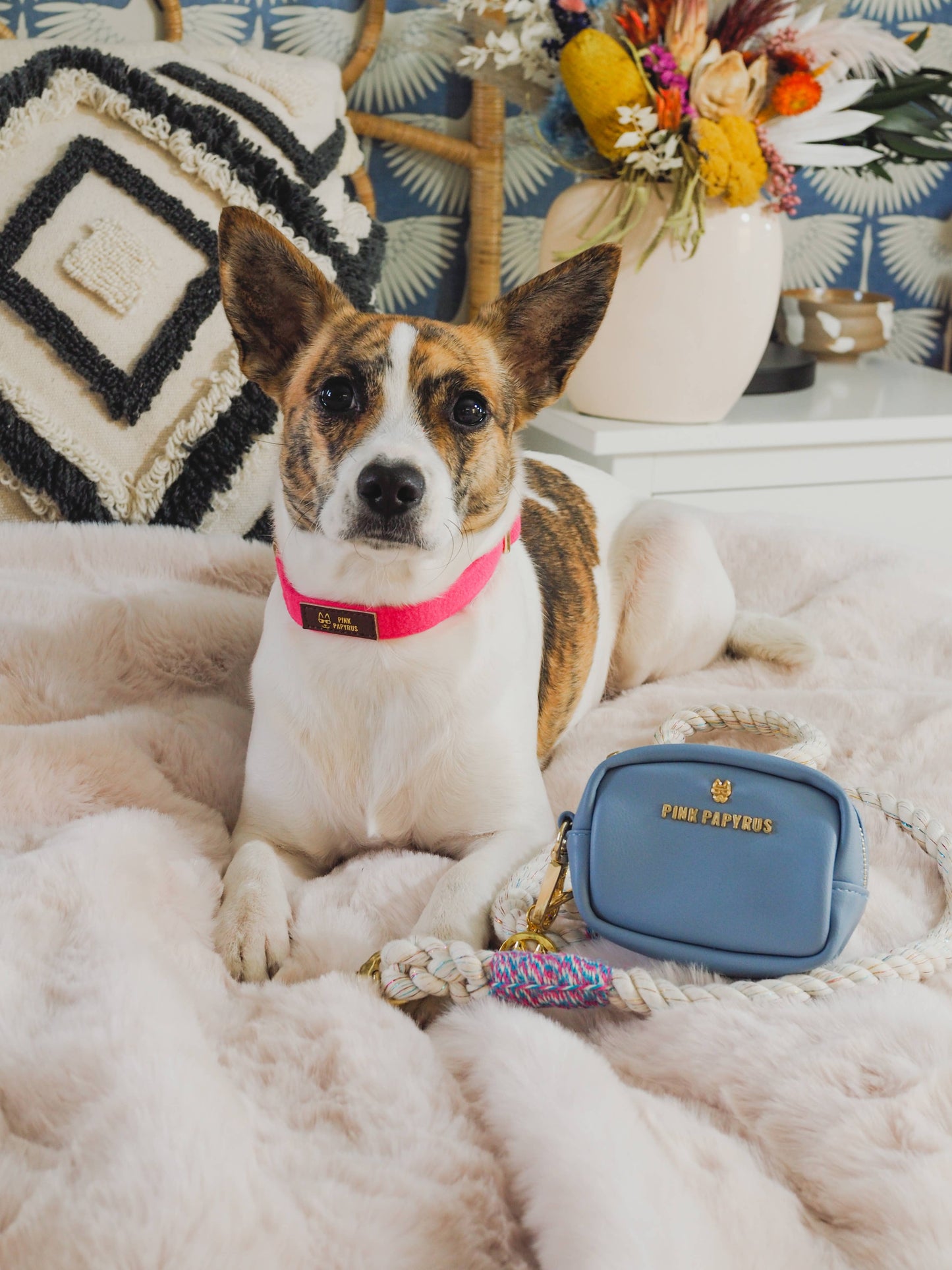 Pink Papyrus Blake Poop Bag Dispenser | Waste Bag Dispenser
