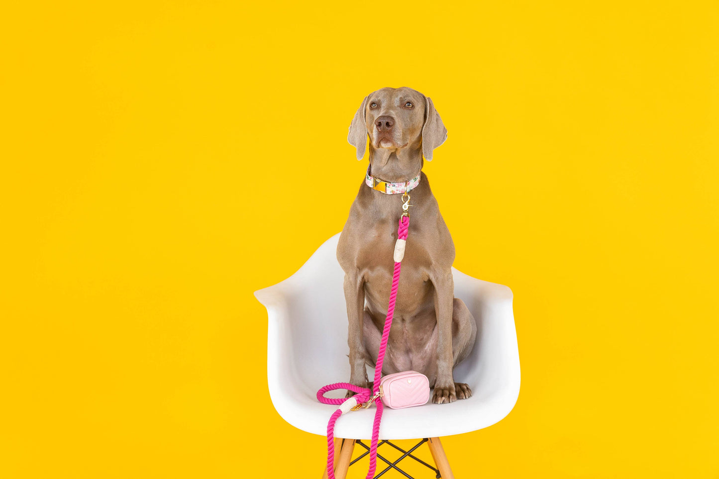 Pink Papyrus Kylie Poop Bag Dispenser | Waste Bag Dispenser