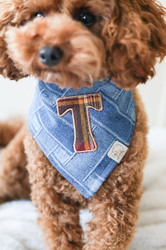 Denim Monogram