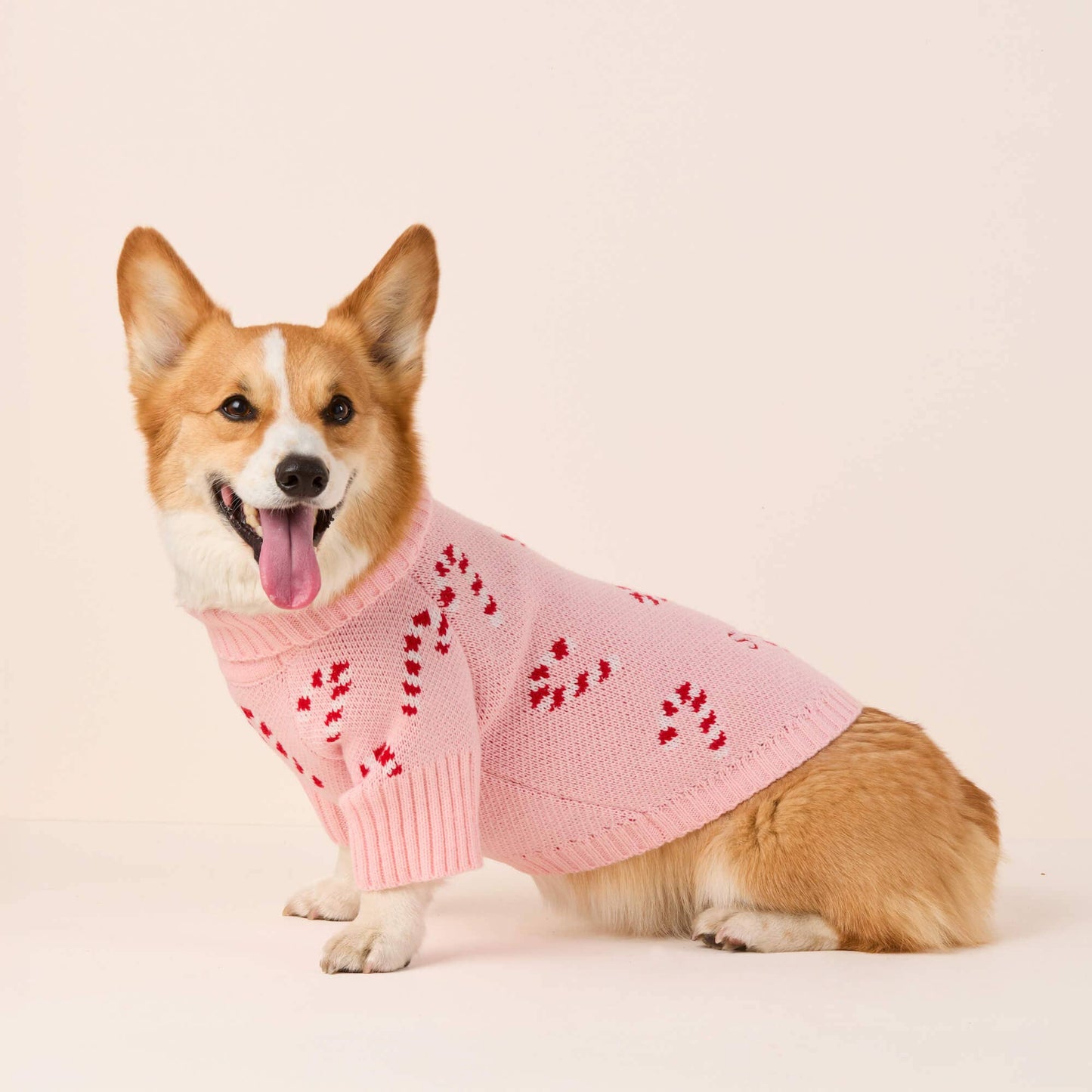 The Foggy Dog | Pink Candy Canes Dog Sweater