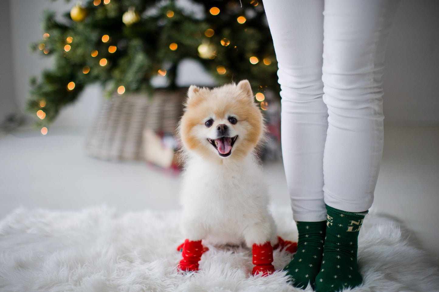 Nice & Naughty List Human & Dog Christmas Sock Set