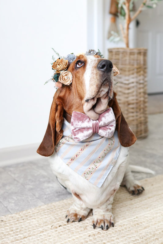 Endless Love Sailor Bow & Bow Tie