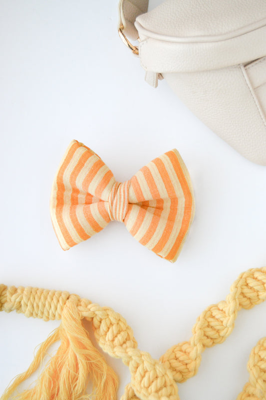 Sunlit Cabana Bow Tie