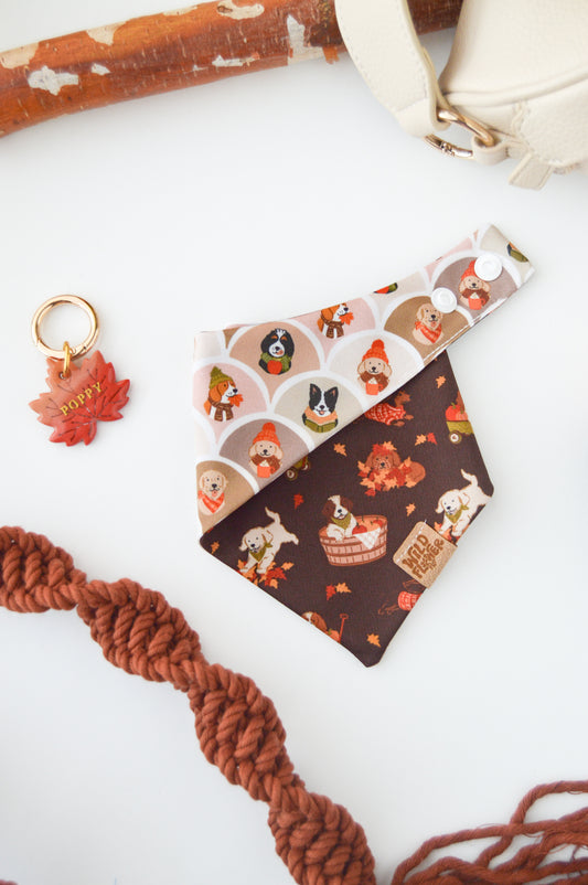 Autumn Leaves