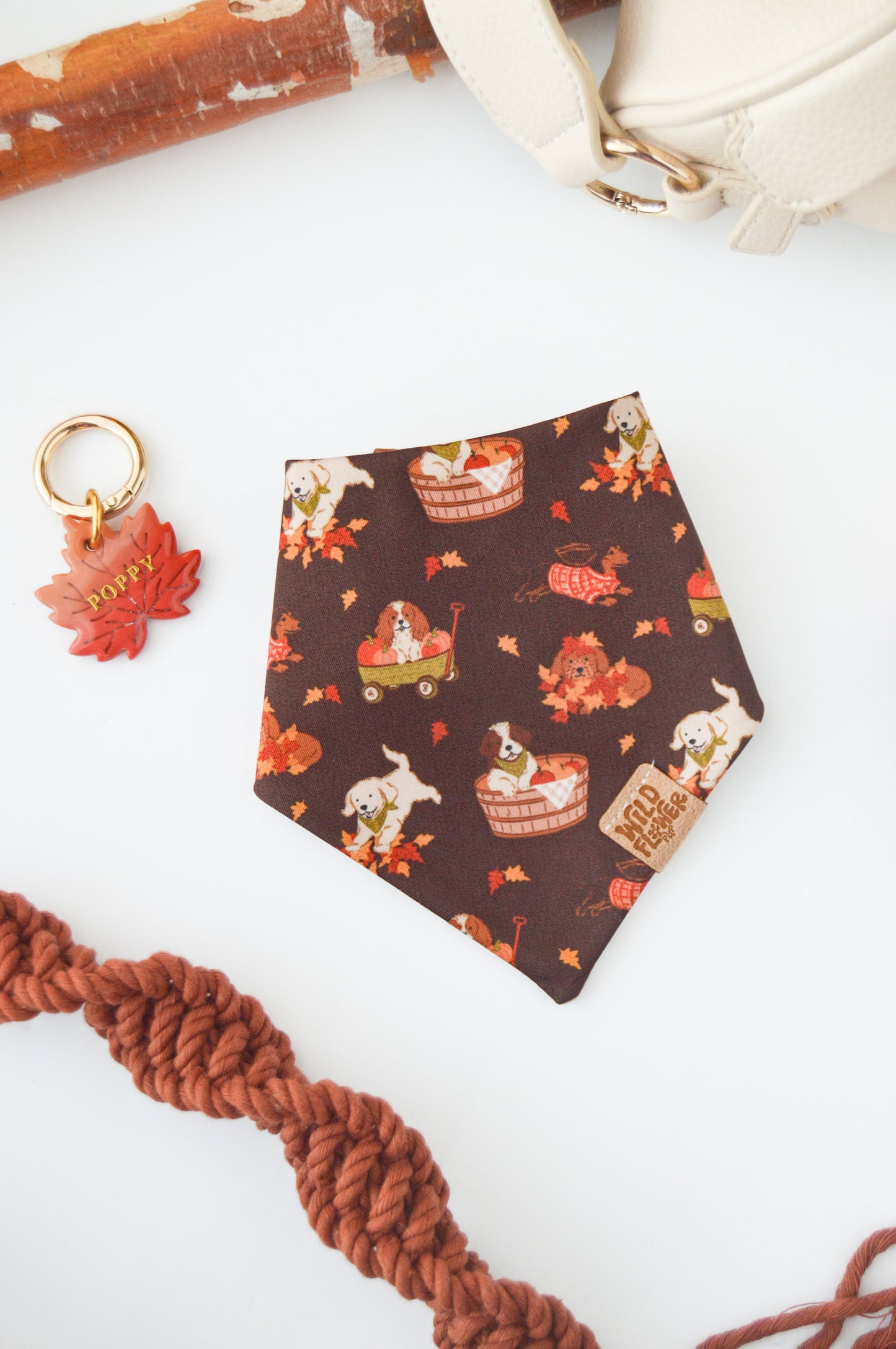 Autumn Leaves