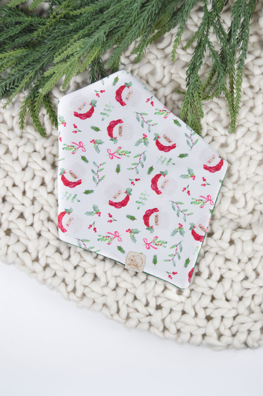 Ornaments on Tree/Sweet Santa