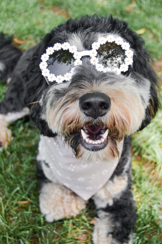 Floral Rim Sunnies