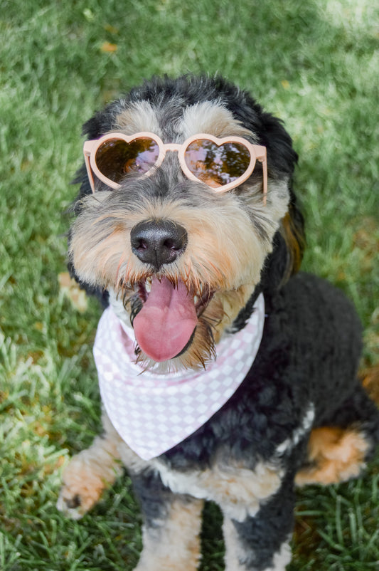 Lover Sunnies
