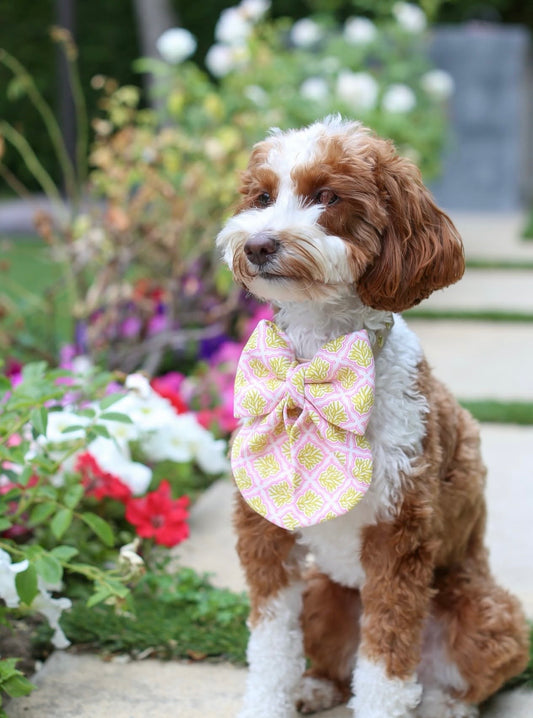 Coral Reef Chartreuse Sailor Bow & Bow Tie