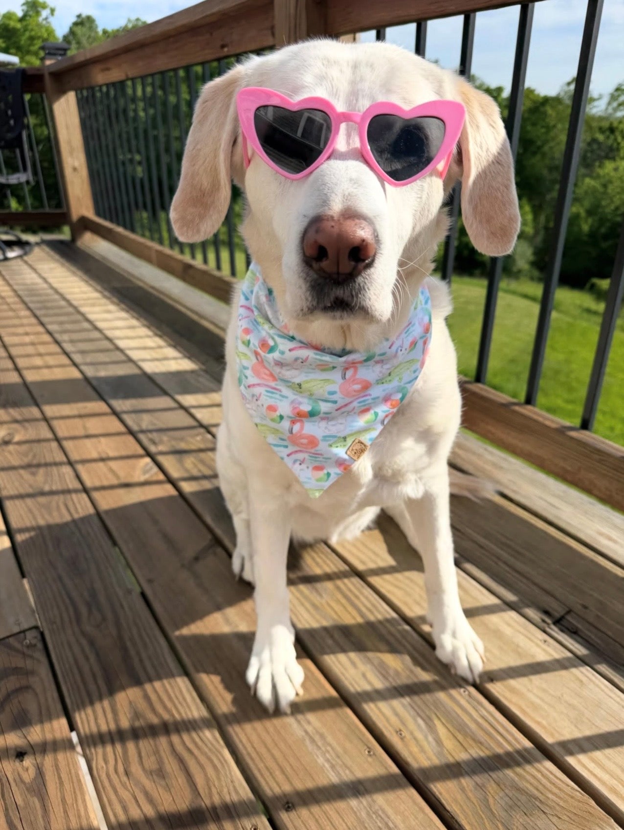 Pool Party