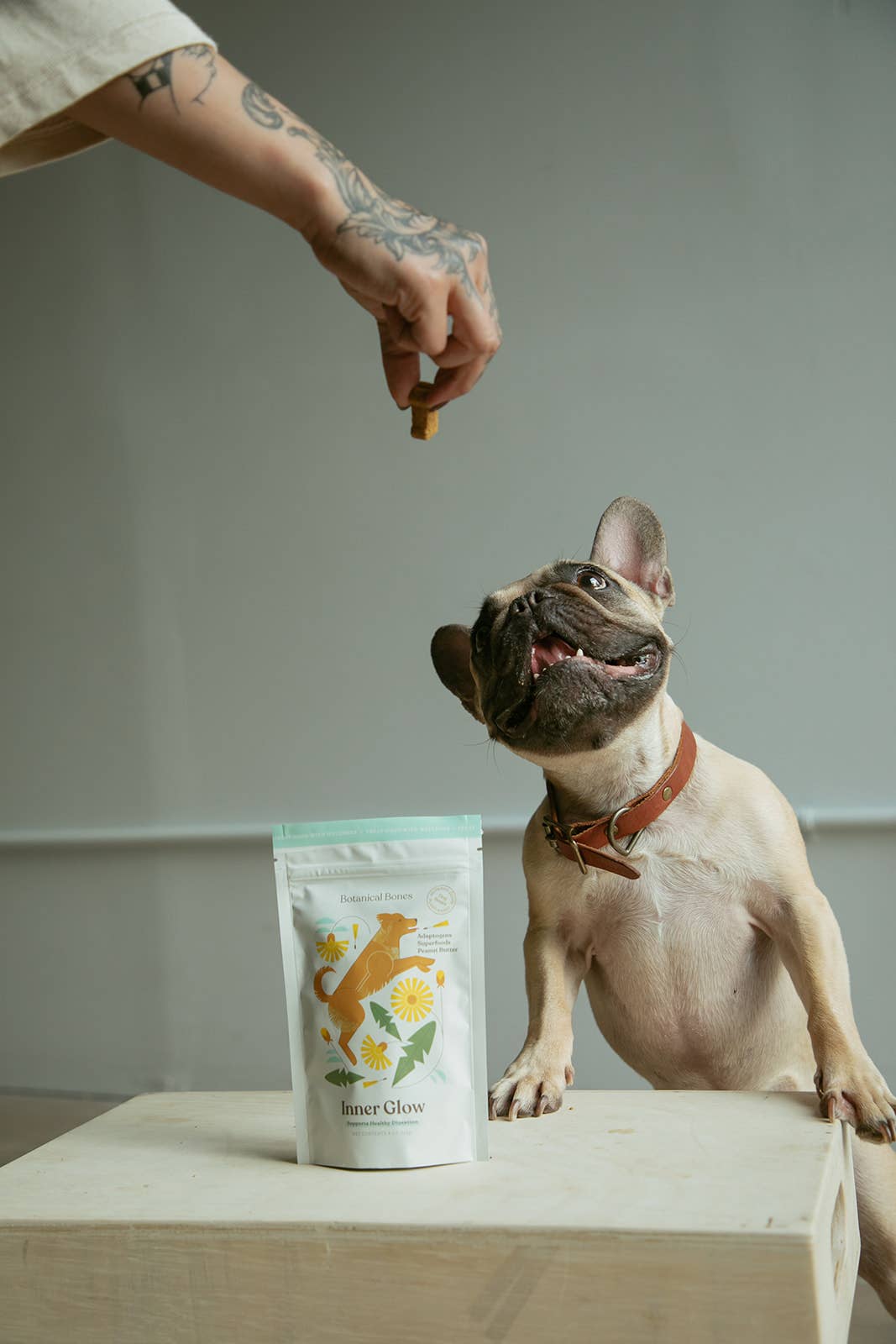 Botanical Bones | Inner Glow Cookies - All Natural, Organic Dog Treats