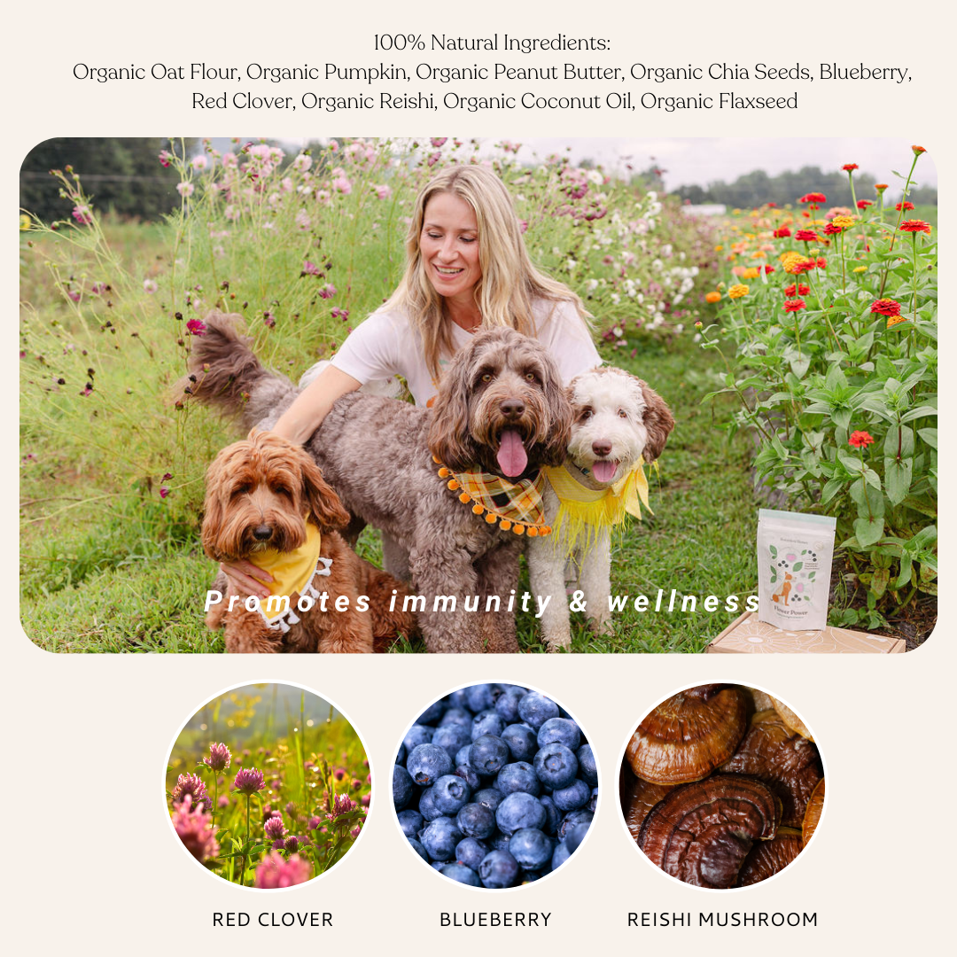 Botanical Bones | Flower Power Cookies - All Natural, Organic Dog Treats