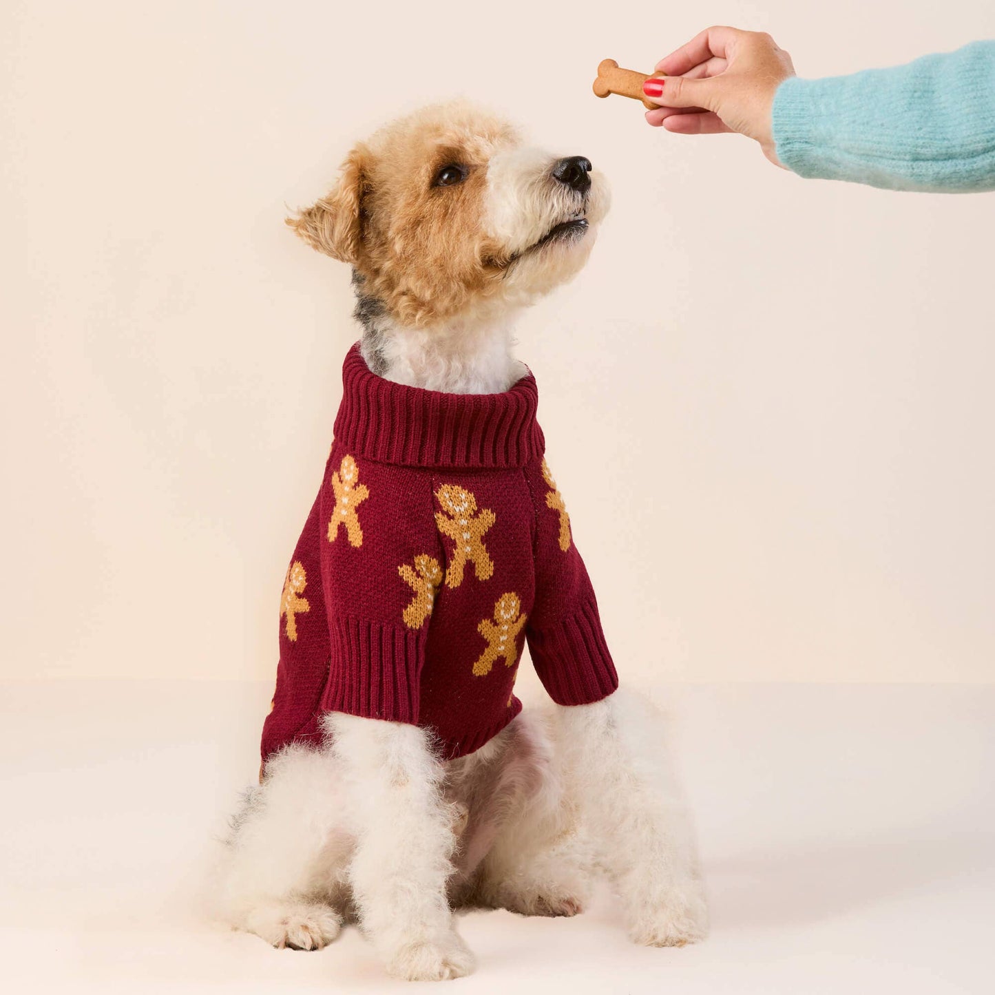 The Foggy Dog | Gingerbread Man Dog Sweater