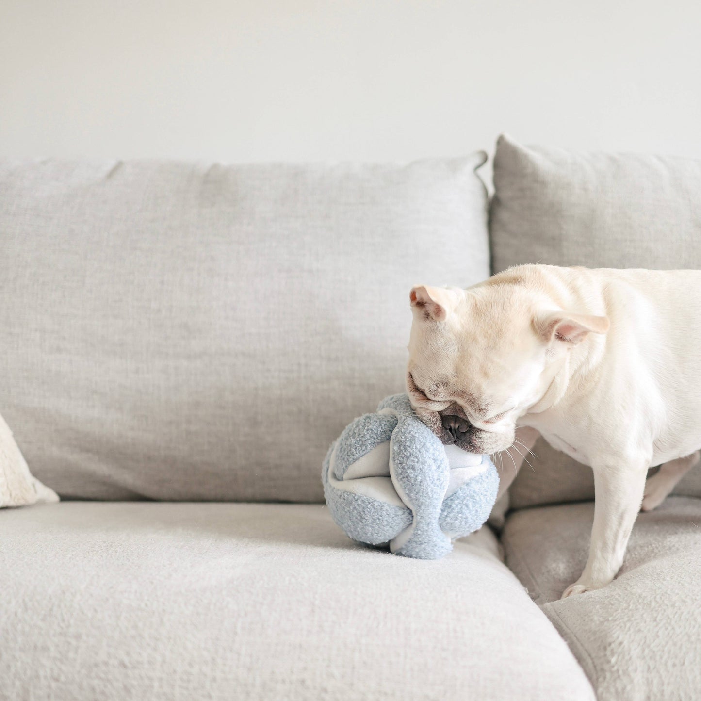 Lambwolf Monti Enrichment Toy